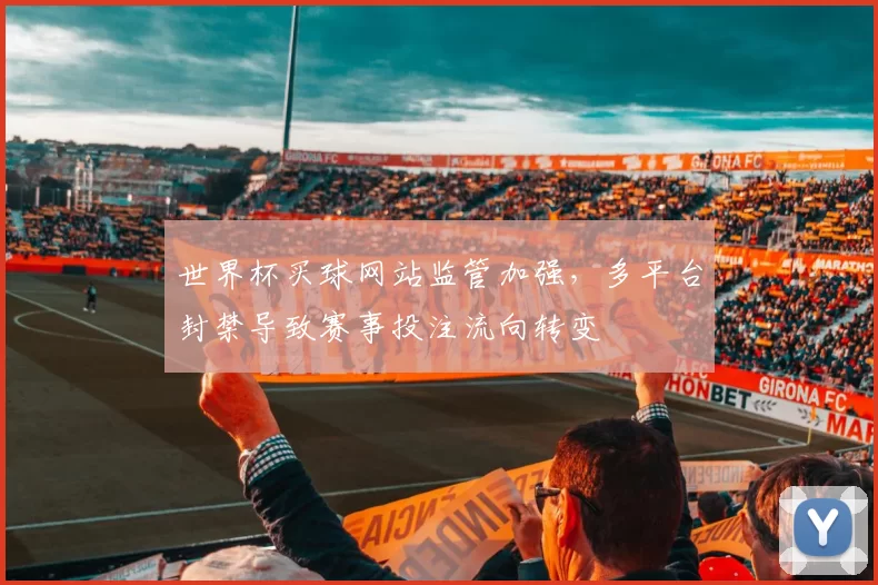 世界杯买球网站监管加强，多平台封禁导致赛事投注流向转变