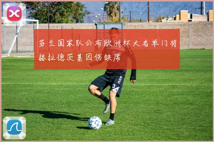 芬兰国家队公布欧洲杯大名单门将赫拉德茨基因伤缺席