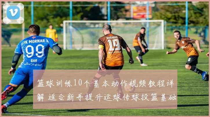 篮球训练10个基本动作视频教程详解 适合新手提升运球传球投篮基础技能