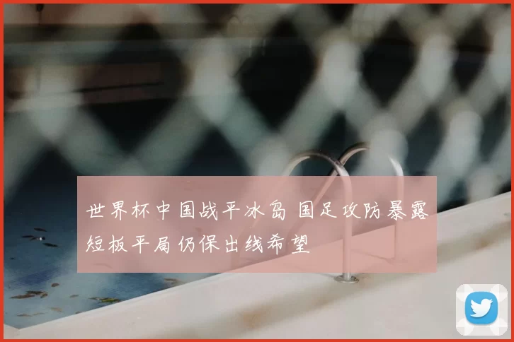 世界杯中国战平冰岛 国足攻防暴露短板平局仍保出线希望