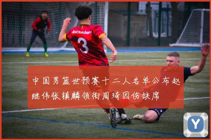 中国男篮世预赛十二人名单公布赵继伟张镇麟领衔周琦因伤缺席